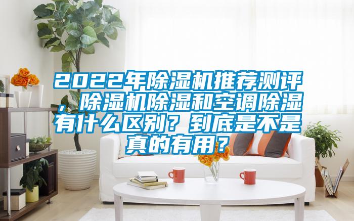2022年除濕機推薦測評，除濕機除濕和空調(diào)除濕有什么區(qū)別？到底是不是真的有用？