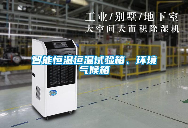 智能恒溫恒濕試驗箱、環境氣候箱