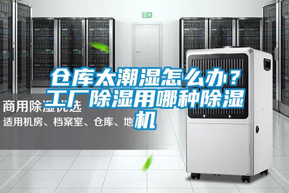 倉庫太潮濕怎么辦？工廠除濕用哪種除濕機(jī)