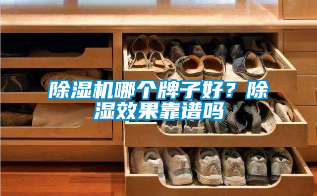 除濕機(jī)哪個牌子好？除濕效果靠譜嗎