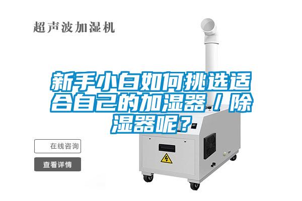 新手小白如何挑選適合自己的加濕器／除濕器呢？