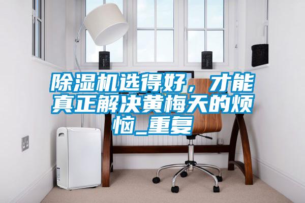 除濕機選得好，才能真正解決黃梅天的煩惱_重復(fù)