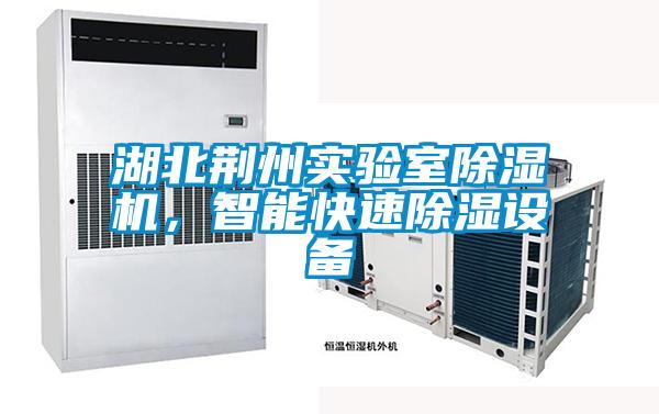 湖北荊州實驗室除濕機，智能快速除濕設備