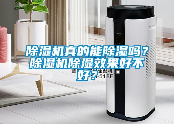 除濕機(jī)真的能除濕嗎？除濕機(jī)除濕效果好不好？