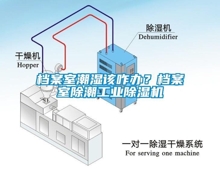 檔案室潮濕該咋辦？檔案室除潮工業除濕機