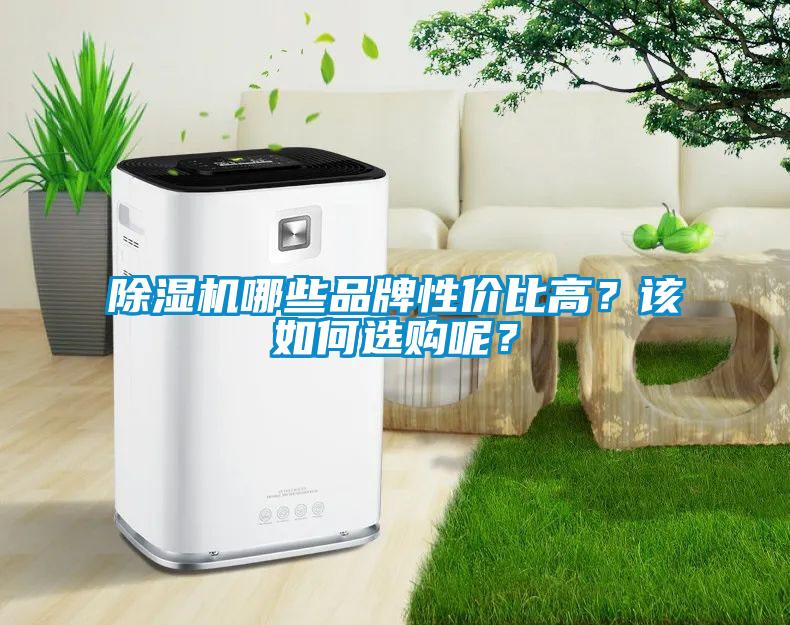 除濕機哪些品牌性價比高？該如何選購呢？