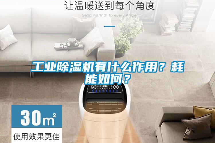 工業除濕機有什么作用？耗能如何？