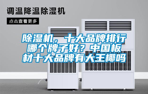 除濕機，十大品牌排行哪個牌子好？中國板材十大品牌有大王椰嗎