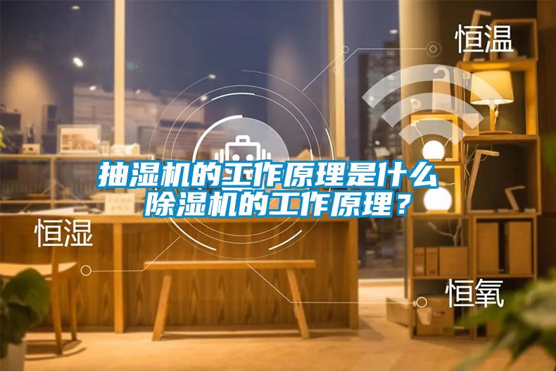 抽濕機(jī)的工作原理是什么 除濕機(jī)的工作原理？