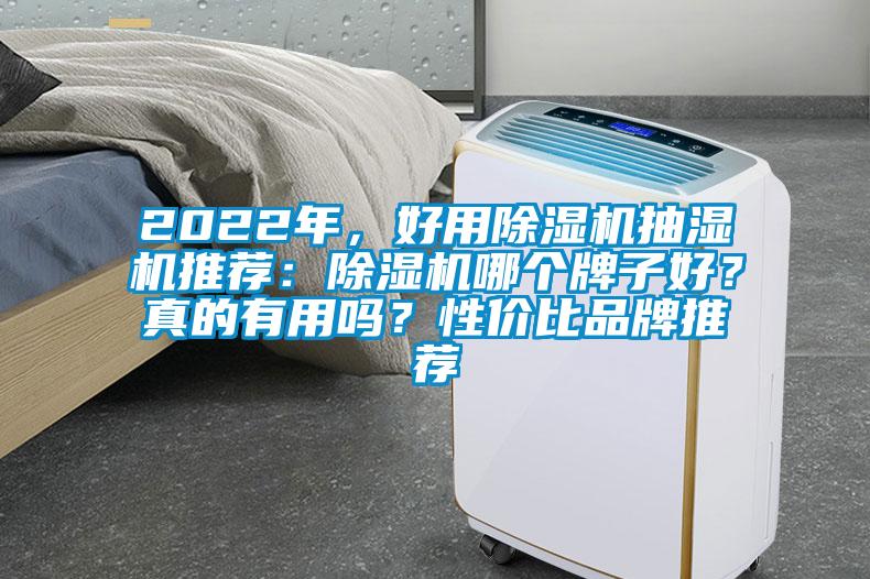 2022年，好用除濕機(jī)抽濕機(jī)推薦：除濕機(jī)哪個(gè)牌子好？真的有用嗎？性?xún)r(jià)比品牌推薦