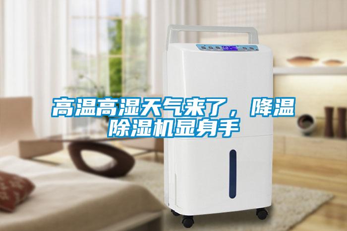 高溫高濕天氣來了,降溫除濕機顯身手