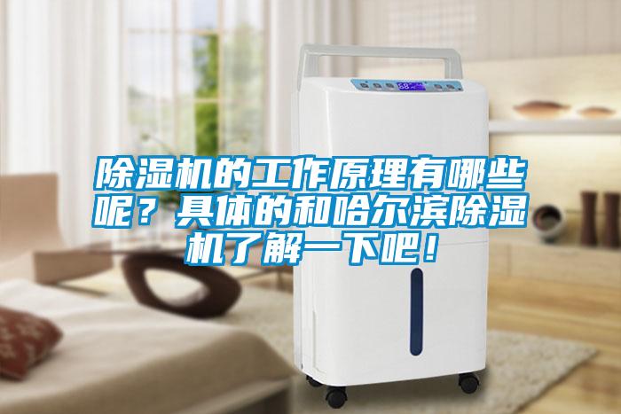 除濕機的工作原理有哪些呢？具體的和哈爾濱除濕機了解一下吧！