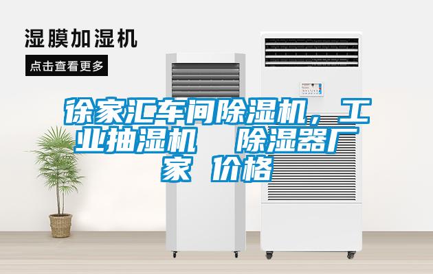 徐家匯車間除濕機，工業(yè)抽濕機  除濕器廠家 價格