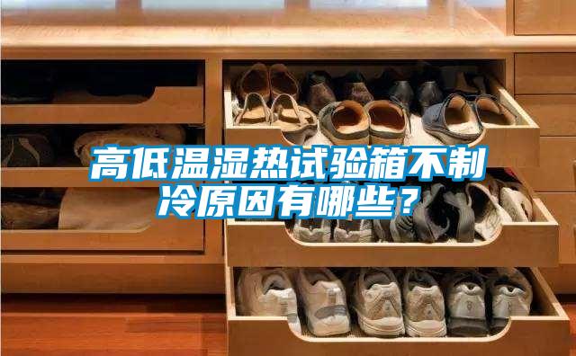 高低溫濕熱試驗箱不制冷原因有哪些？