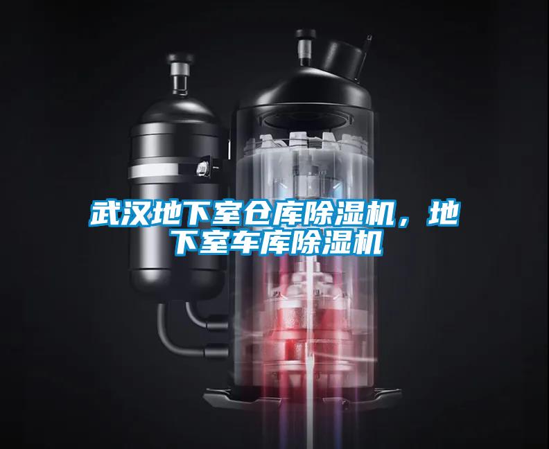 武漢地下室倉(cāng)庫(kù)除濕機(jī)，地下室車庫(kù)除濕機(jī)