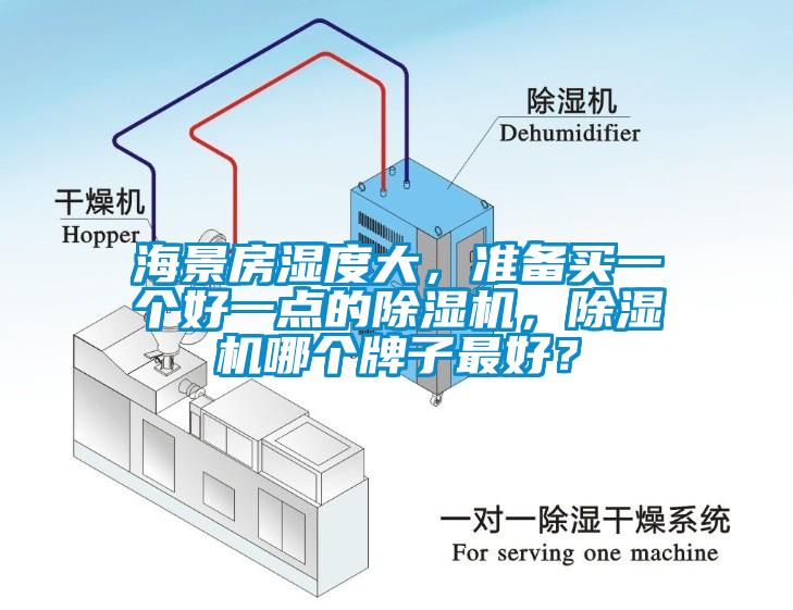 海景房濕度大，準(zhǔn)備買一個(gè)好一點(diǎn)的除濕機(jī)，除濕機(jī)哪個(gè)牌子最好？