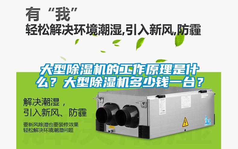 大型除濕機的工作原理是什么？大型除濕機多少錢一臺？