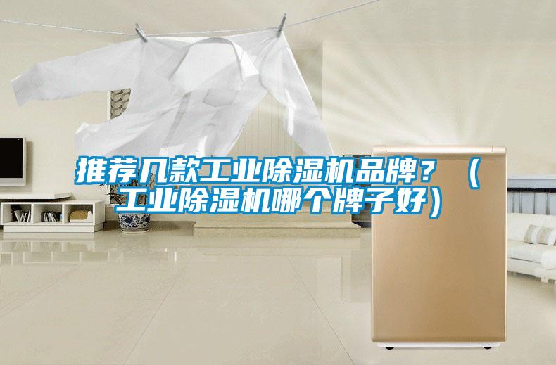 推薦幾款工業(yè)除濕機(jī)品牌？（工業(yè)除濕機(jī)哪個(gè)牌子好）
