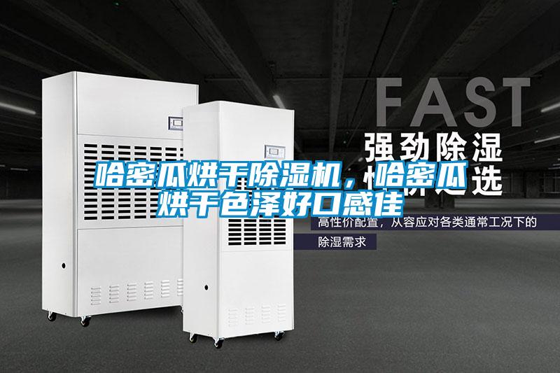 哈密瓜烘干除濕機，哈密瓜烘干色澤好口感佳