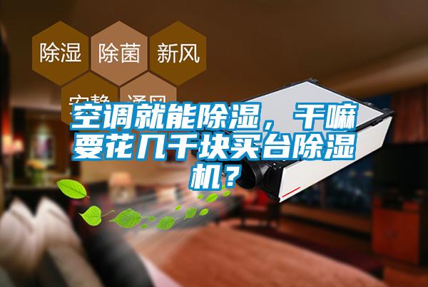 空調就能除濕，干嘛要花幾千塊買臺除濕機？