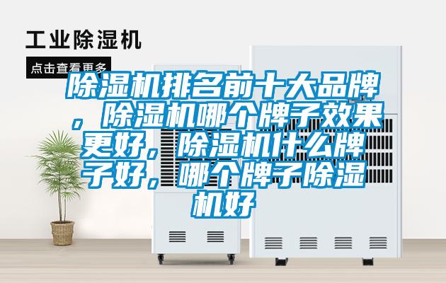 除濕機排名前十大品牌，除濕機哪個牌子效果更好，除濕機什么牌子好，哪個牌子除濕機好