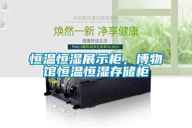恒溫恒濕展示柜，博物館恒溫恒濕存儲柜