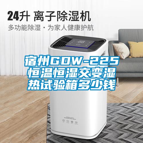 宿州GDW-225恒溫恒濕交變濕熱試驗(yàn)箱多少錢(qián)