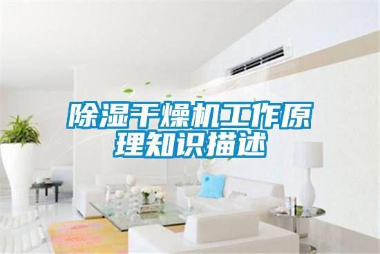 除濕干燥機工作原理知識描述
