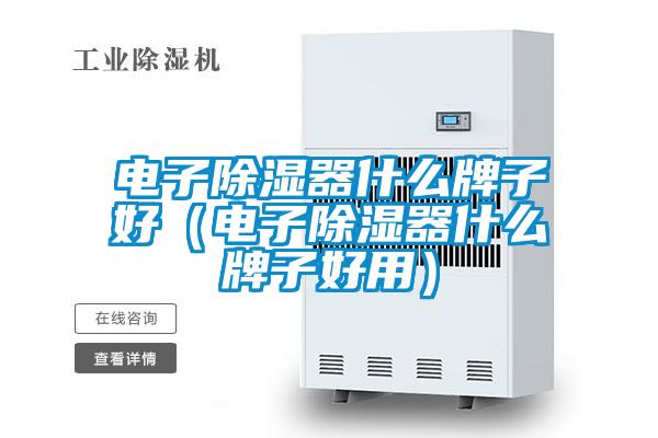 電子除濕器什么牌子好(電子除濕器什么牌子好用)