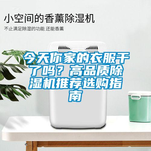 今天你家的衣服干了嗎？高品質除濕機推薦選購指南