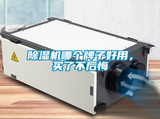 除濕機哪個牌子好用，買了不后悔