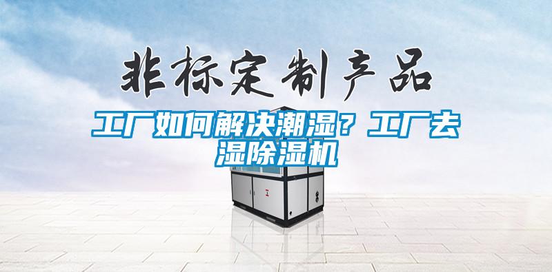 工廠如何解決潮濕？工廠去濕除濕機