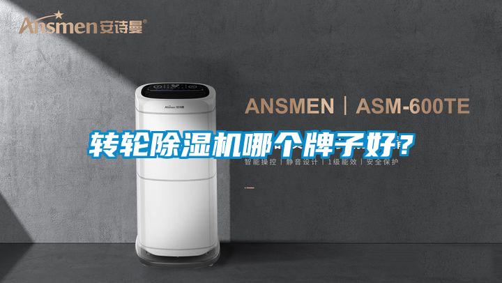 轉輪除濕機哪個牌子好？