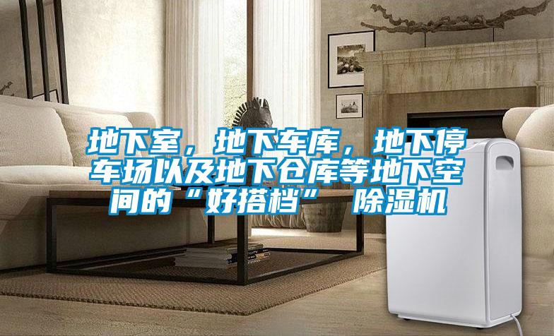 地下室，地下車庫，地下停車場以及地下倉庫等地下空間的“好搭檔” 除濕機