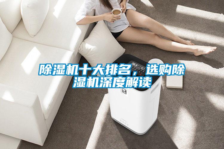 除濕機(jī)十大排名，選購除濕機(jī)深度解讀