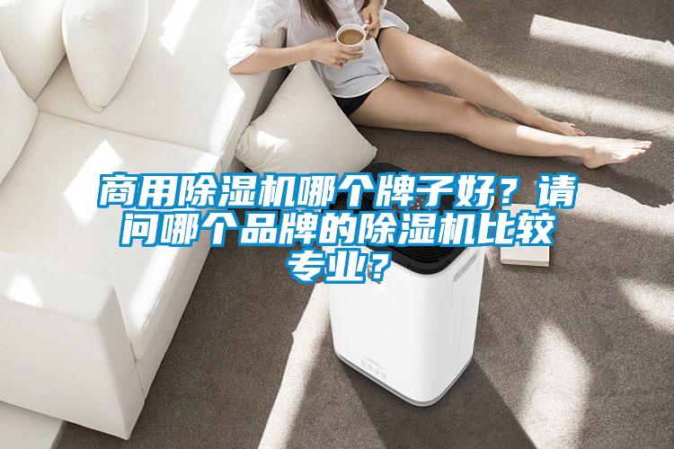 商用除濕機(jī)哪個(gè)牌子好？請問哪個(gè)品牌的除濕機(jī)比較專業(yè)？