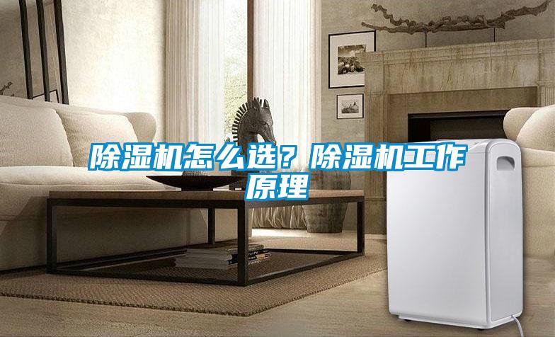 除濕機怎么選？除濕機工作原理