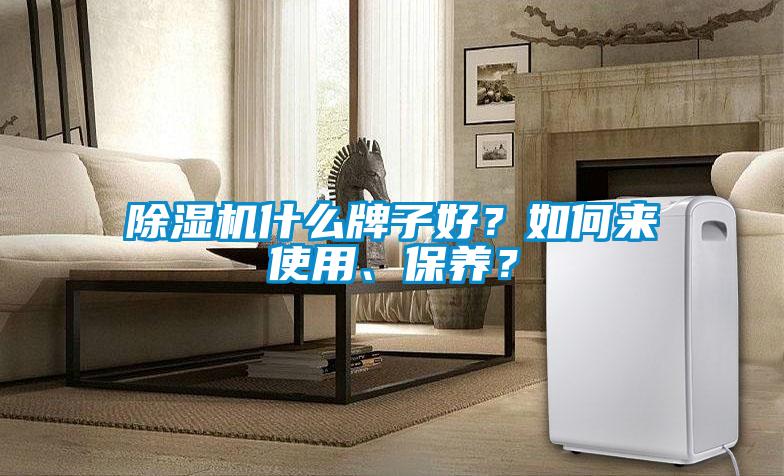 除濕機(jī)什么牌子好？如何來使用、保養(yǎng)？