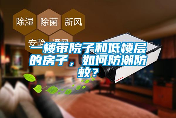 一樓帶院子和低樓層的房子，如何防潮防蚊？