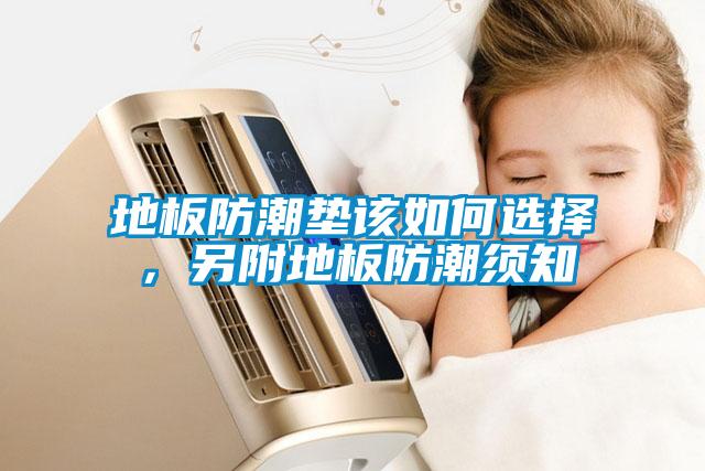 地板防潮墊該如何選擇，另附地板防潮須知