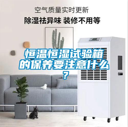 恒溫恒濕試驗箱的保養(yǎng)要注意什么？