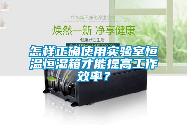怎樣正確使用實驗室恒溫恒濕箱才能提高工作效率？