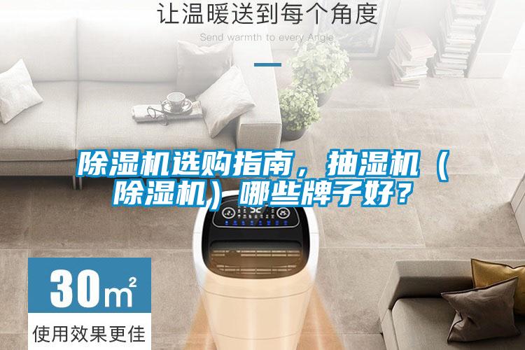 除濕機選購指南，抽濕機（除濕機）哪些牌子好？