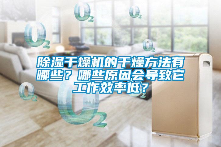 除濕干燥機(jī)的干燥方法有哪些？哪些原因會(huì)導(dǎo)致它工作效率低？