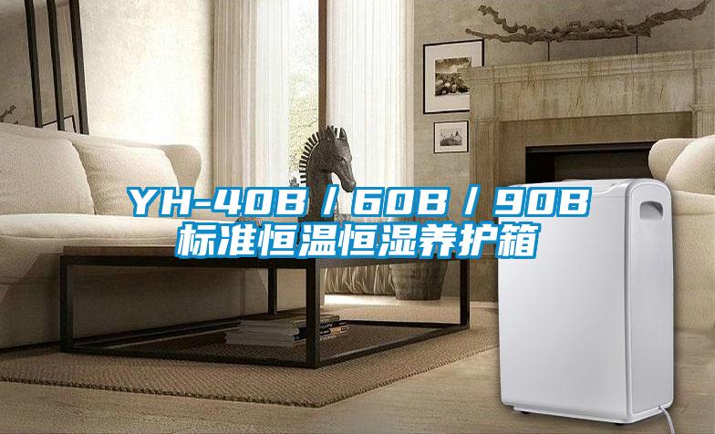YH-40B/60B/90B標(biāo)準(zhǔn)恒溫恒濕養(yǎng)護箱