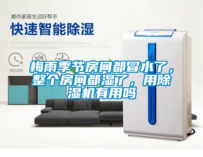 梅雨季節房間都冒水了，整個房間都濕了，用除濕機有用嗎