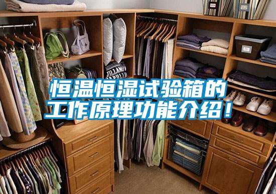恒溫恒濕試驗箱的工作原理功能介紹！