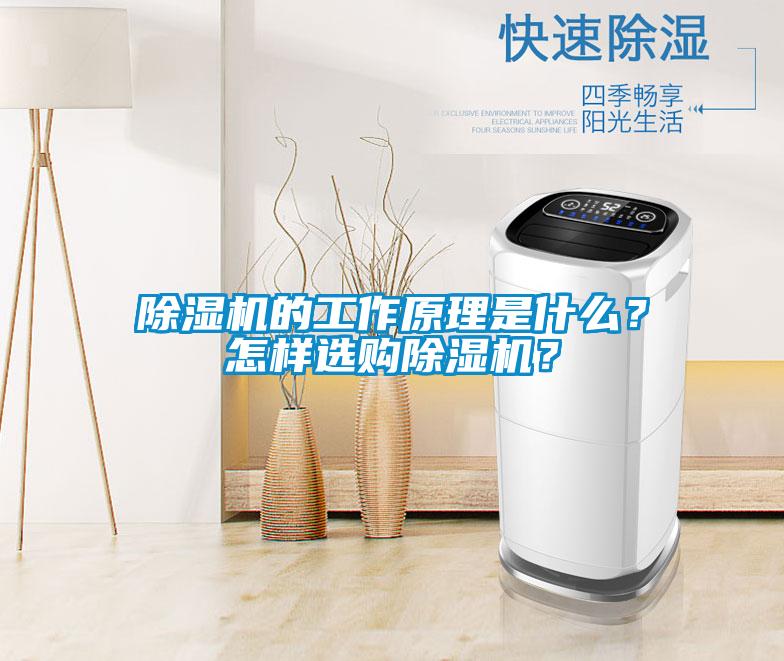除濕機(jī)的工作原理是什么？怎樣選購除濕機(jī)？