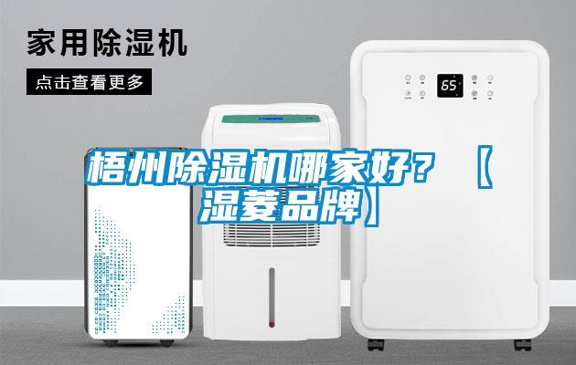 梧州除濕機哪家好？【濕菱品牌】