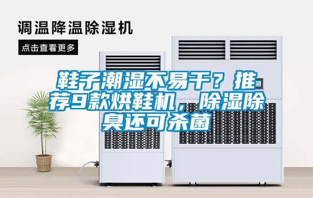 鞋子潮濕不易干？推薦9款烘鞋機(jī)，除濕除臭還可殺菌